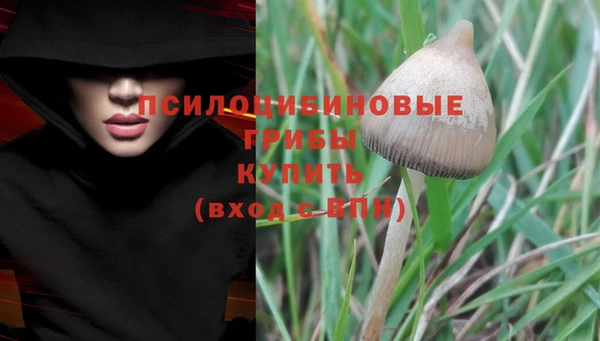 мескалин Верхний Тагил